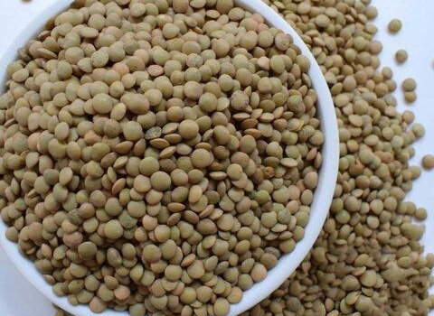 تصویر 5 از قیمت عدس سبز کانادایی + خرید باور نکردنی
